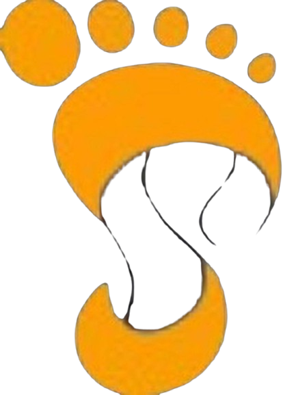 STEPPA Logo